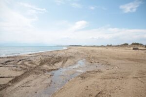 ANTALYA (AA) – Antalya'nın Manavgat ve Serik ilçelerinde denizlerde 4