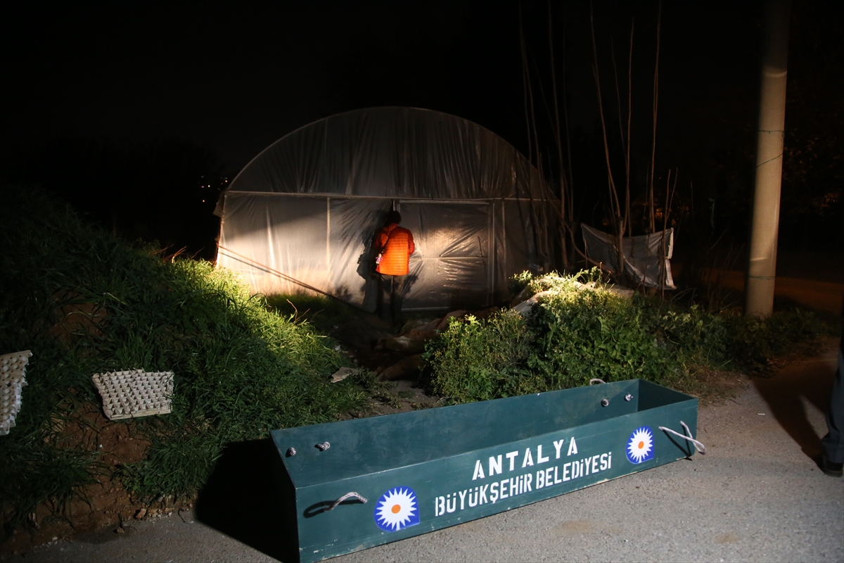 Antalya'da bir kişi çalıştığı çiçek serasında ölü bulundu