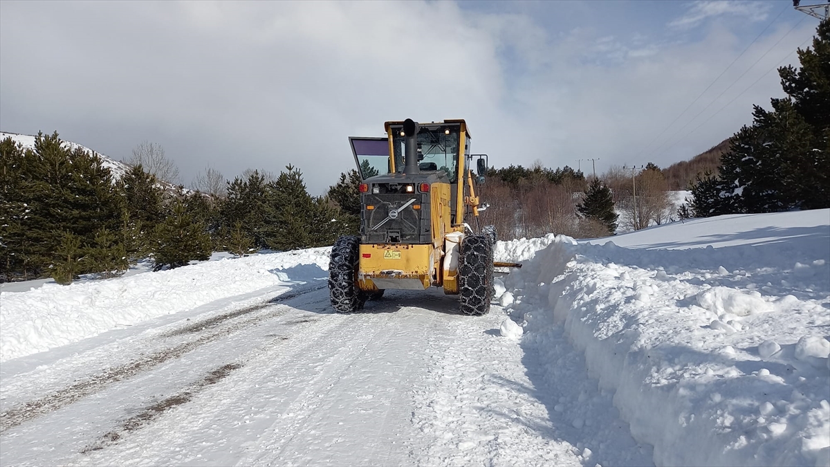 Ardahan'da kar nedeniyle kapanan 61 köy yolu ulaşıma açıldı