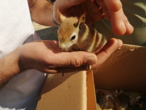 AYDIN (AA) – Aydın'ın Kuşadası ilçesinde bir iş yeri sahibine