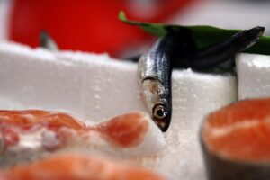 DÜZCE (AA) – Batı Karadeniz'in önemli limanlarından Düzce'nin Akçakoca ilçesinde