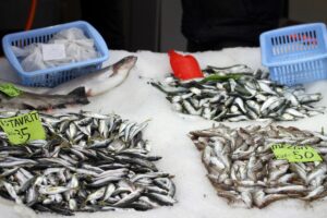 DÜZCE (AA) – Düzce'de olumsuz hava koşulları nedeniyle balık fiyatları