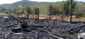 BURDUR (AA) – Burdur'un Çeltikçi ilçesinde ağılda çıkan yangında 46