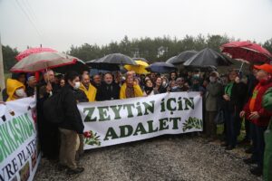 - "Zeytinin olduğu her yerde mücadele edeceğiz, TBMM’de de yargıda