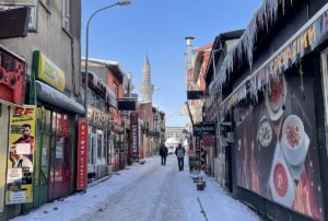 ERZURUM (AA) – Erzurum, Ardahan, Ağrı ve Kars'ta, yoğun kar