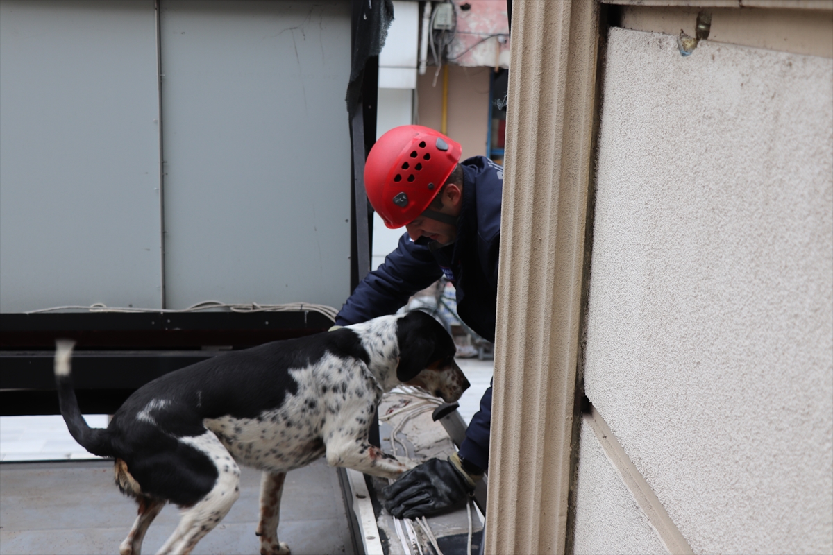Düzce'de çatıda mahsur kalan köpek kurtarıldı