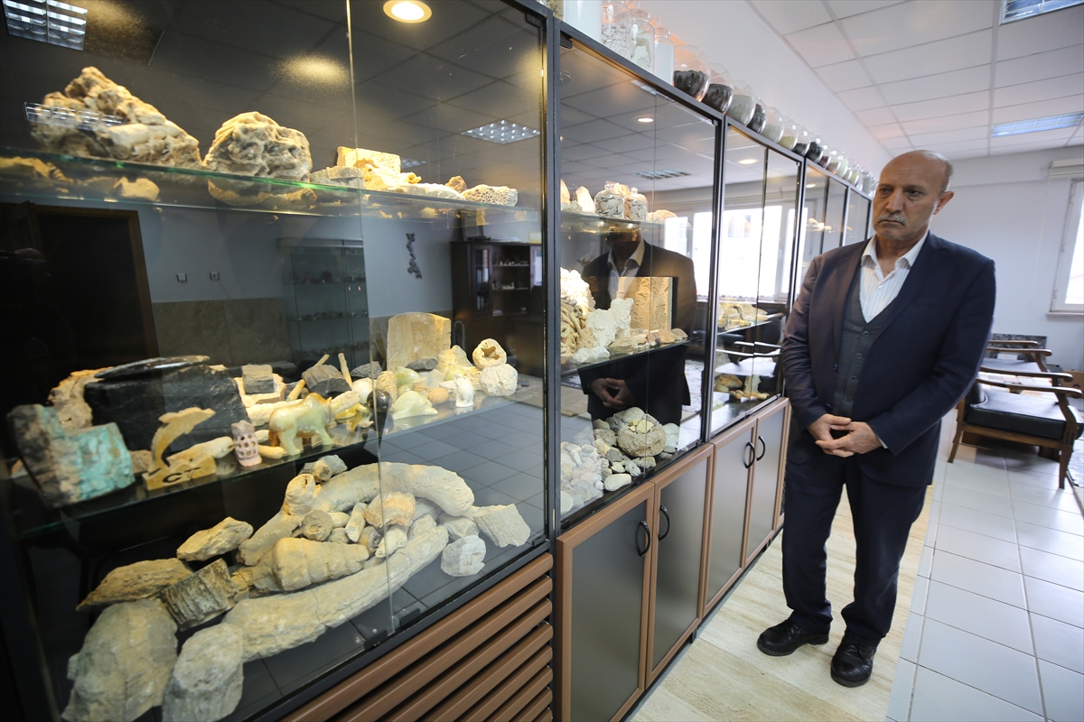 Elazığlı mühendis deniz canlısına ait “milyon yıllık” fosili iş yerinde sergiliyor