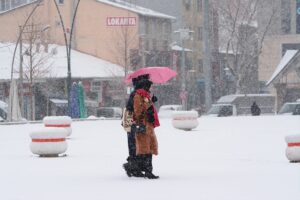 TRABZON (AA) – Orta ve Doğu Karadeniz'de kar nedeniyle 402