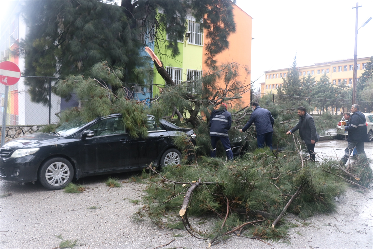 Hatay'da fırtına direk ve ağaçları devirdi, araçlarda hasara yol açtı