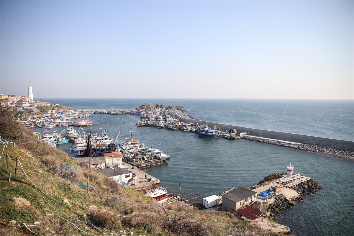 İstanbul'daki balıkçılar, Karadeniz'in batısında avlanmayı durdurma kararını değerlendirdi: