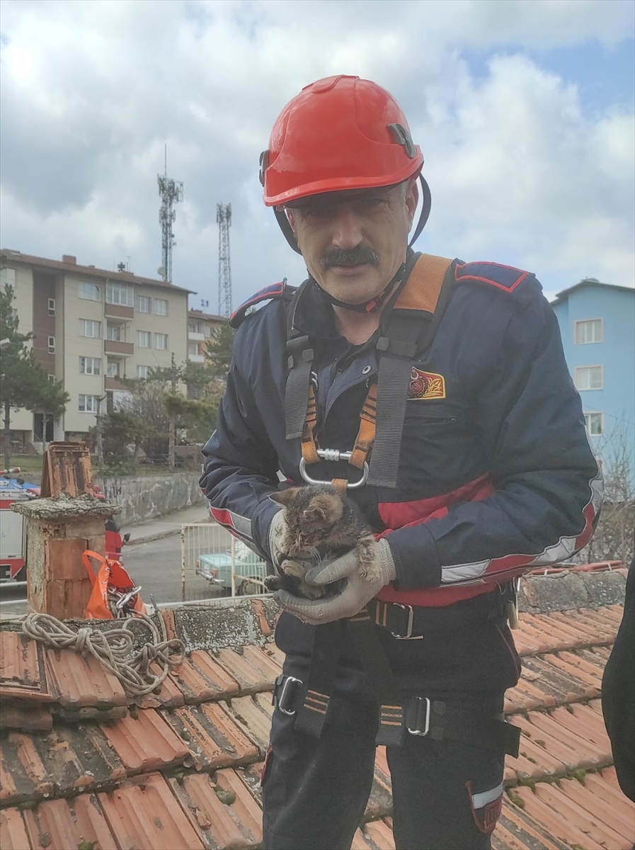 Karabük'te havalandırma boşluğunda mahsur kalan kedi yavrusu kurtarıldı