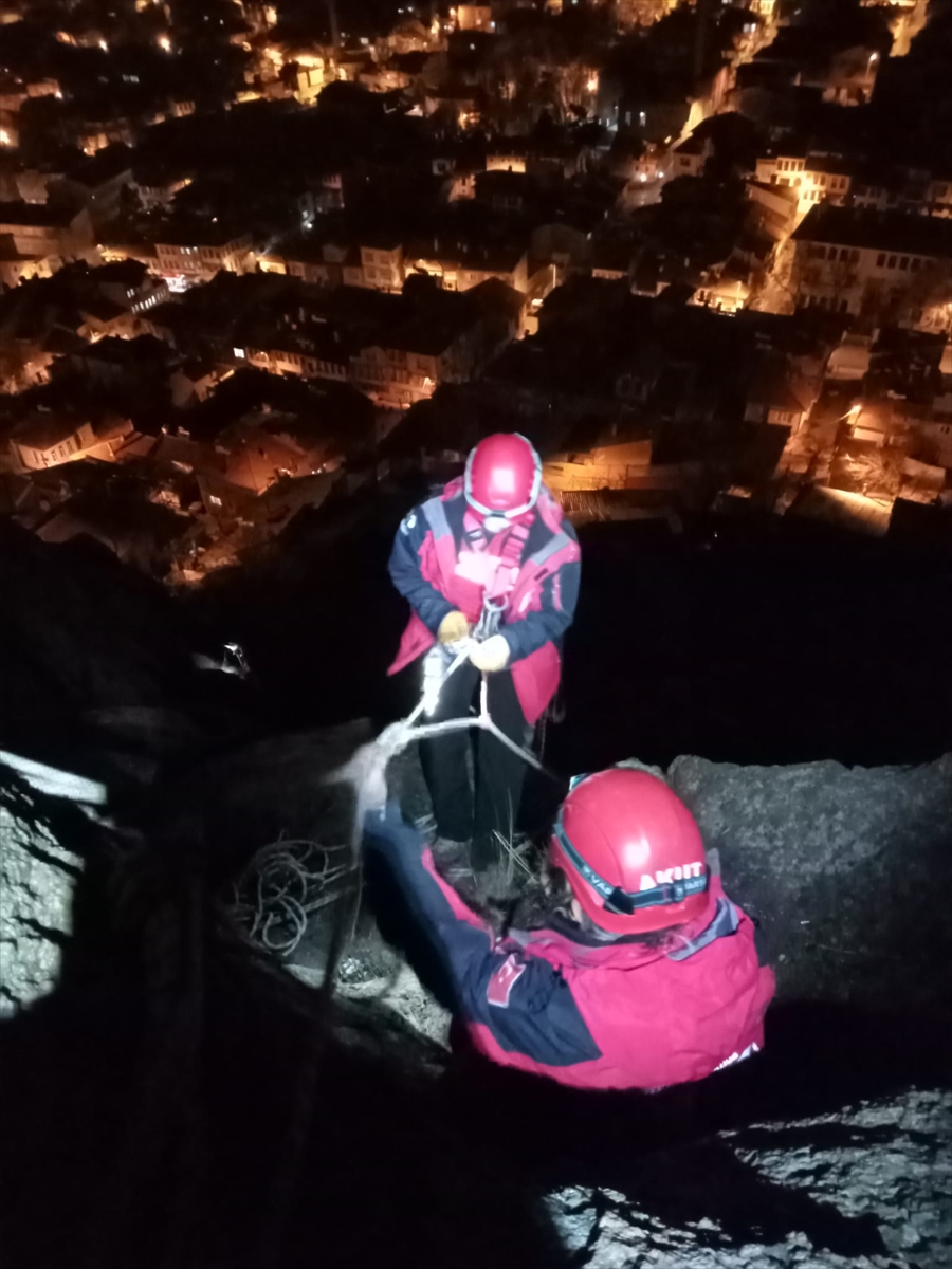 Karahisar Kalesi'nde mahsur kalan 7 keçiyi AKUT ekipleri kurtardı