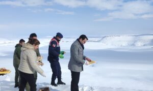 KARS (AA) – Kars'ın Digor ilçesinde, olumsuz hava koşulları nedeniyle