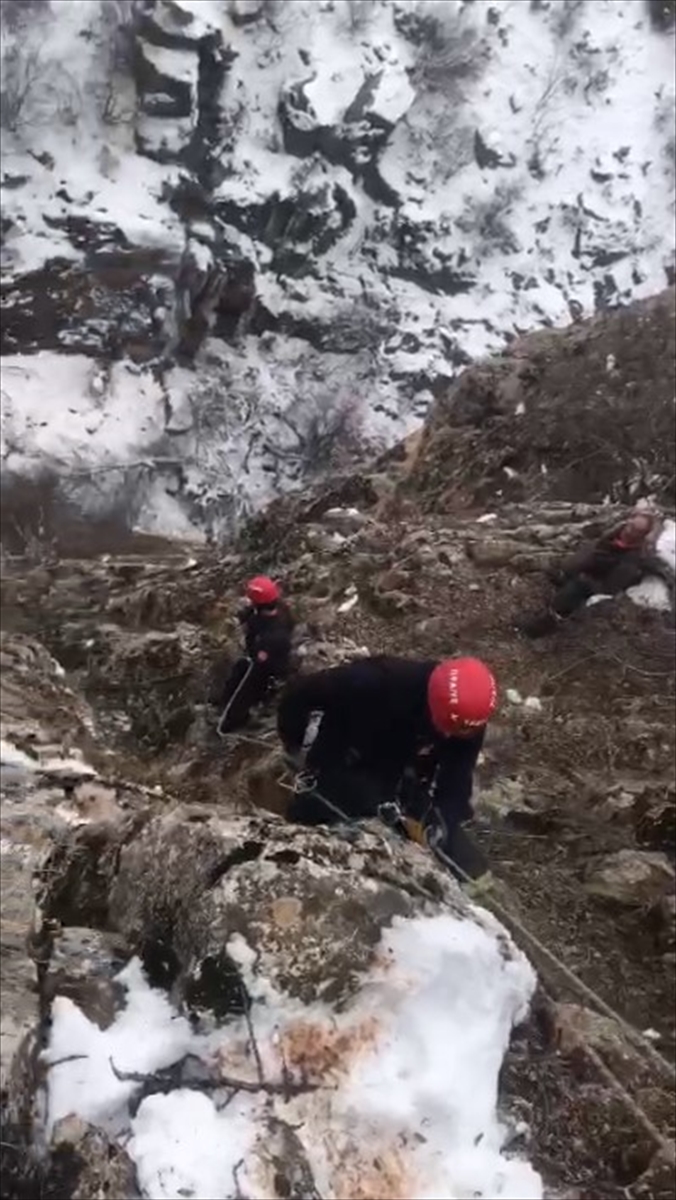 Kayseri'de itfaiye ekipleri uçuruma düşen keçiyi 6 saatte kurtardı