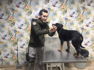 MERSİN (AA) – Mersin'de sahibinin işkence uyguladığı ve evinin damından