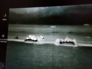 MUĞLA (AA) – Muğla'nın Dalaman ilçesi açıklarında, lastik botlarda 55