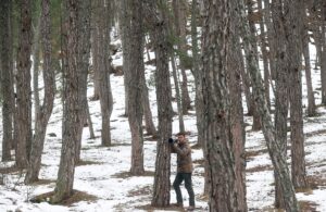 ANKARA (AA) – AHMET SERTAN USUL – Vahşi yaşam fotoğrafçısı