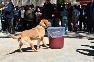 GAZİANTEP (AA) – ADSIZ GÜNEBAKAN – Gaziantep'te, aralarında veteriner ve