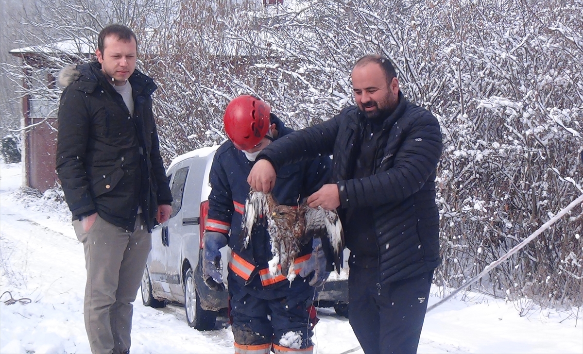 Sakarya'da dere yatağına düşen yaralı atmaca kurtarıldı