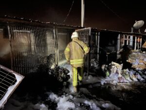 İSTANBUL (AA) – İstanbul Silivri'de Dalgakıran Balıkçı Barınaklarında çıkan yangında