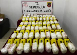 ŞIRNAK (AA) – Şırnak'ta arama yapılan tırda 64 paket içerisinde