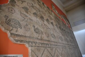 SİVAS (AA) – Sivas'ın Gürün ilçesinde ahır tabanında bulunan ve