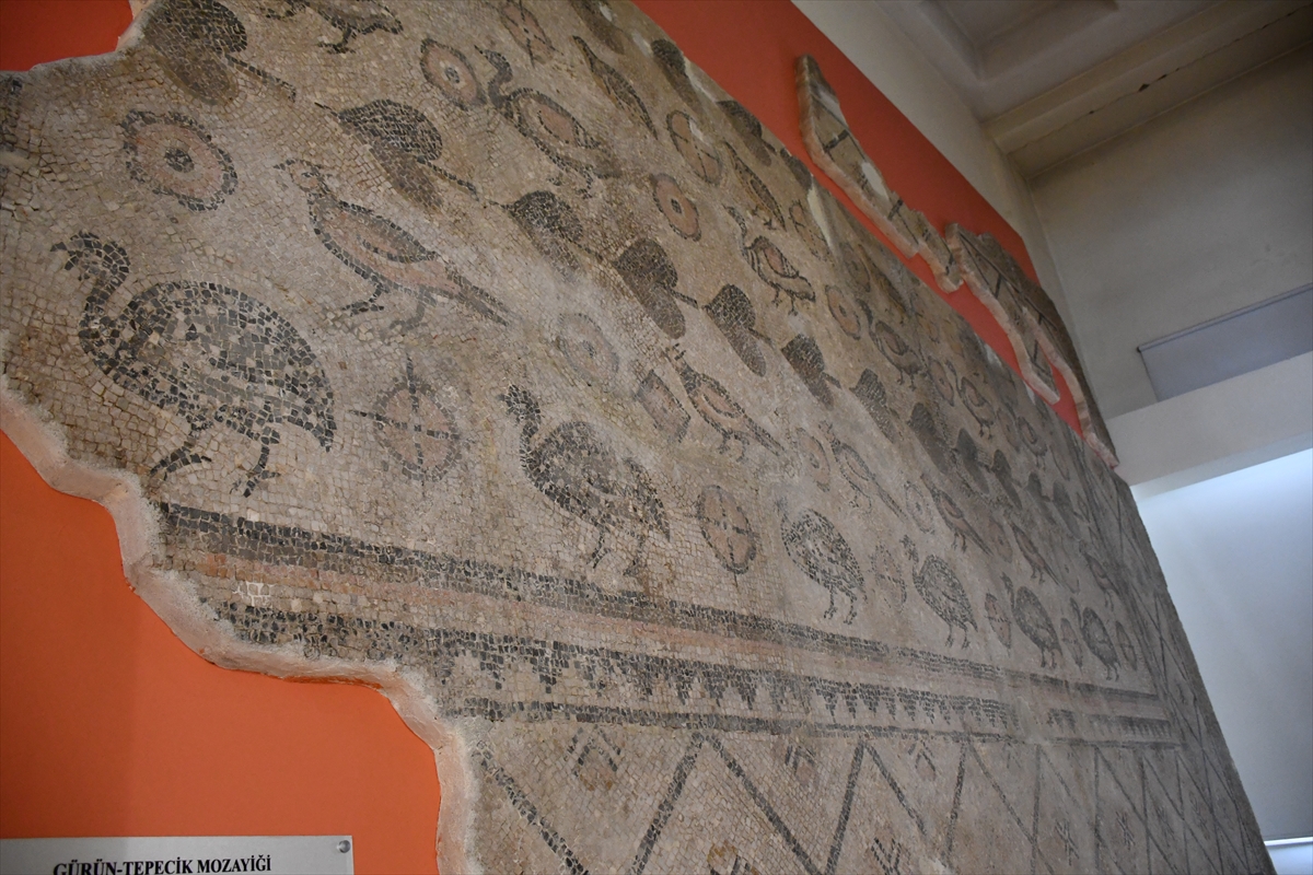 Sivas'ta ahır tabanında bulunan mozaik, müzenin duvarını süslüyor