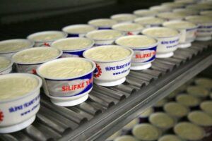 MERSİN (AA) – MUSTAFA ÜNAL UYSAL – Mersin'in Silifke ilçesinin