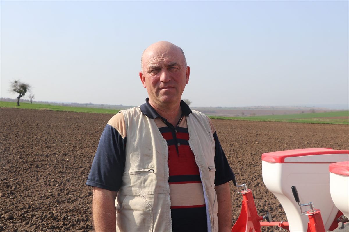 Türkiye'nin önemli ayçiçeği üretim merkezlerinden Edirne'de ekim mesaisi başladı