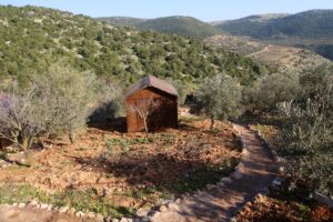 AMMAN (AA) – LEYS EL-CUNEYDİ – Ürdün'ün kuzeyindeki Aclun kentindeki