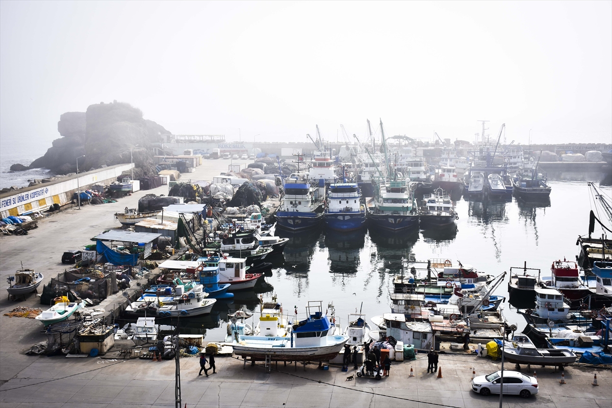Yoğun sisin görüldüğü İstanbul Boğazı'nda balıkçılar denize açılamadı