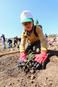 - Bodrum'un Güvercinlik-Meşelik bölgesinde gerçekleştirilen törende bin 303 fidan toprakla