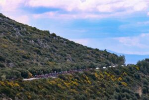 - Organizasyonun ikinci gününde geçilen Selçuk (Efes)-Alaçatı etabını kazanan Avustralyalı