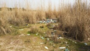 ANTALYA (AA) – Antalya'nın Manavgat ilçesinde, sazlık alana atıklarının döküldüğü