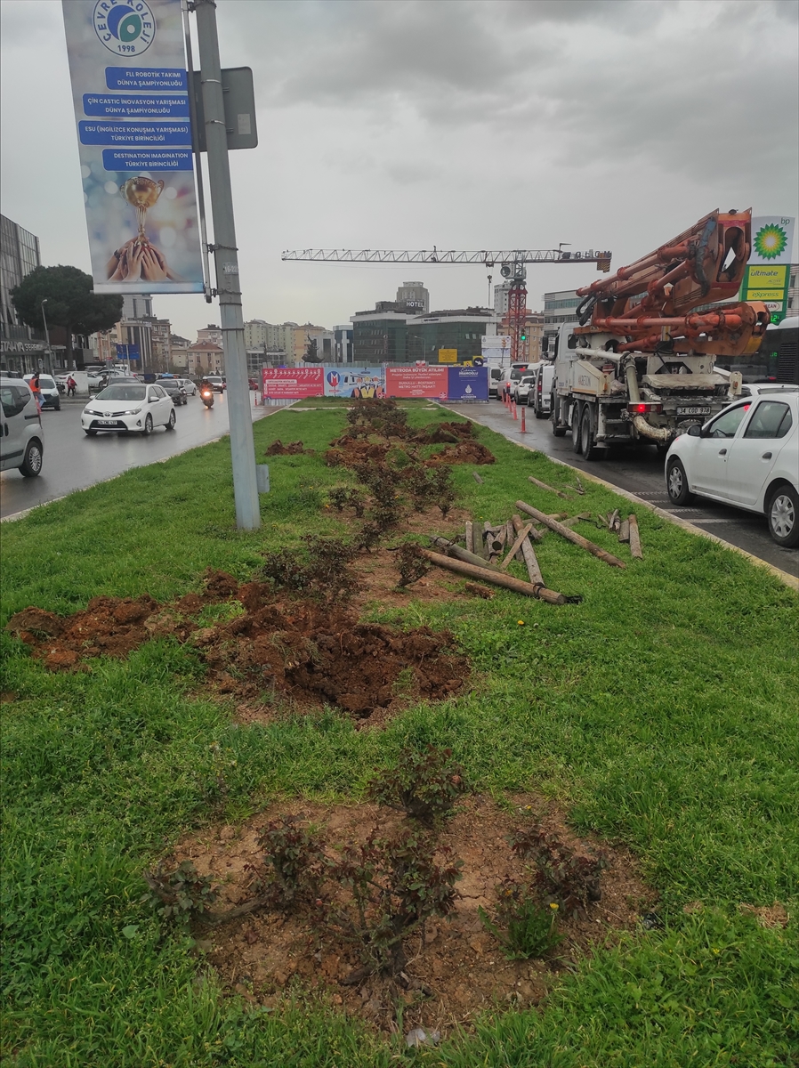 Ataşehir'de caddedeki bazı ağaçlar İBB ekiplerince söküldü