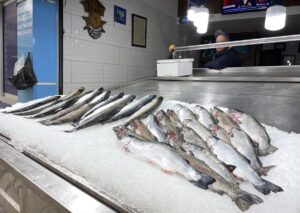 SİNOP (AA) – Denizlerde 15 Nisan’da başlayan av yasağının ardından