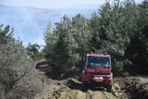 BİLECİK (AA) – Bilecik Valisi Kemal Kızılkaya, orman yangınının kontrol