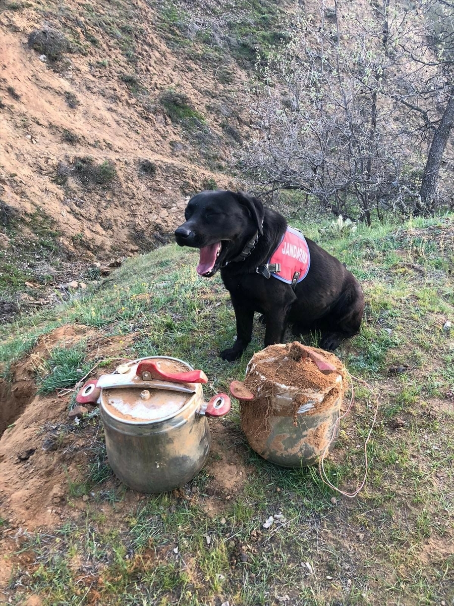 Bingöl'de 2 düdüklü tencerede 40 kilogram el yapımı patlayıcı bulundu