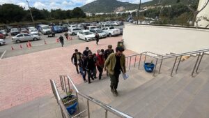 MUĞLA (AA) – Muğla'nın Bodrum ilçesinde ormanlık ve makilik alanda