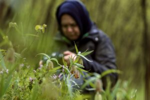 SAKARYA (AA) – Sakarya'nın Kocaali ve Hendek ilçeleri arasında bulunan