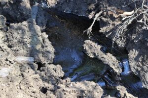 EDİRNE (AA) – Edirne'de asfalt şantiyesinde bulunan havuzdaki sızıntı nedeniyle