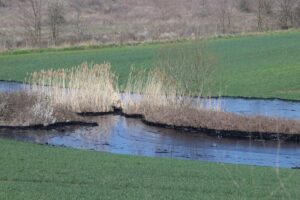 EDİRNE (AA) – Edirne'de asfalt şantiyesi havuzundaki sızıntı nedeniyle ekili