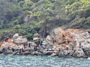 AYDIN (AA) – Sisam Adası yakınlarında batan botta kaybolduğu belirtilen