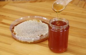 GAZİANTEP (AA) – UNESCO'nun gastronomi dalında "yaratıcı şehirler" ağına dahil