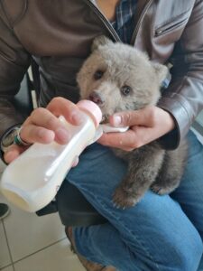 - Doğa Koruma ve Milli Parklar Şube Müdürlüğü ekipleri, 1,5