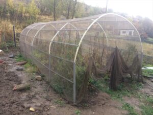 İSTANBUL (AA) – GÜLSELİ KENARLI – Ömrünü denize adayan 68