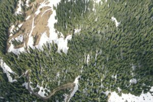 KASTAMONU (AA) – Türkiye'nin önemli kış turizm merkezlerinden Ilgaz Dağı'nın