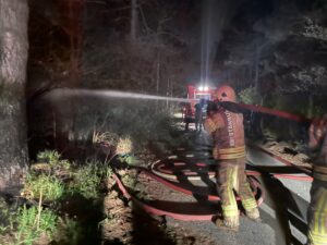 İSTANBUL (AA) – İstanbul Maltepe'deki Başıbüyük Ormanı'nda çıkan yangın itfaiye