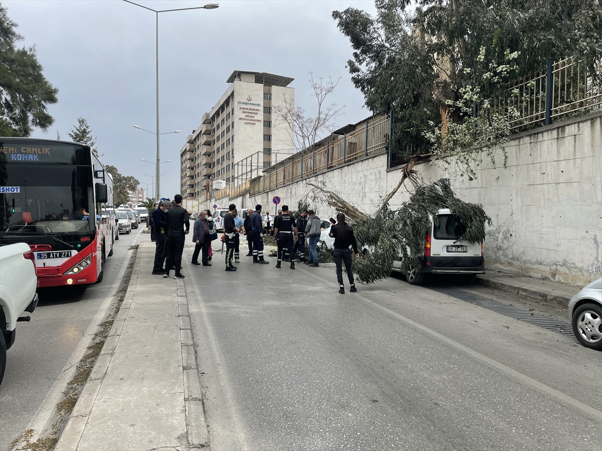 İzmir'de rüzgar nedeniyle 2 otomobilin üzerine ağaç devrildi