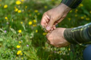 İZMİR (AA) – HALİL FİDAN – İzmir'de atmosferdeki polen yoğunluğu,